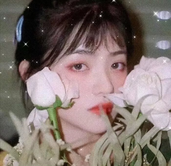 我们的家园（韩国电影） 在线观看
