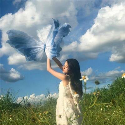 白宫也失眠 在线观看